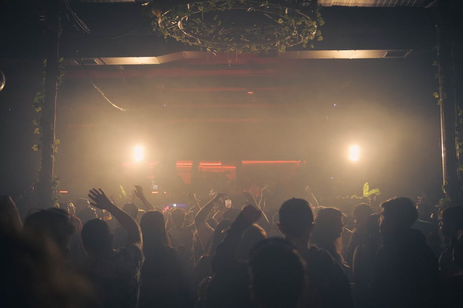 Fotos de stock gratuitas de actuación en vivo, adentro, amantes de la música