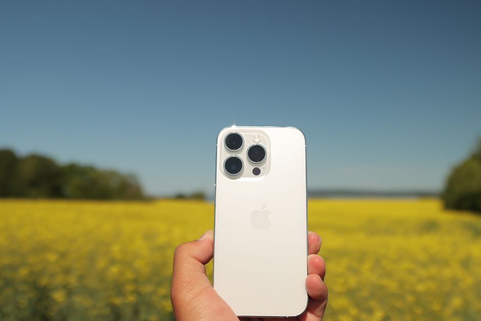 Teléfono inteligente blanco sostenido en la mano contra un fondo de flores amarillas en un campo soleado.