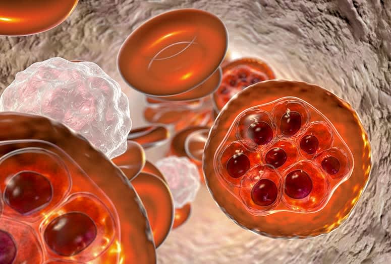 Implantes celulares: plan de $2.2 MDD contra VIH y malaria