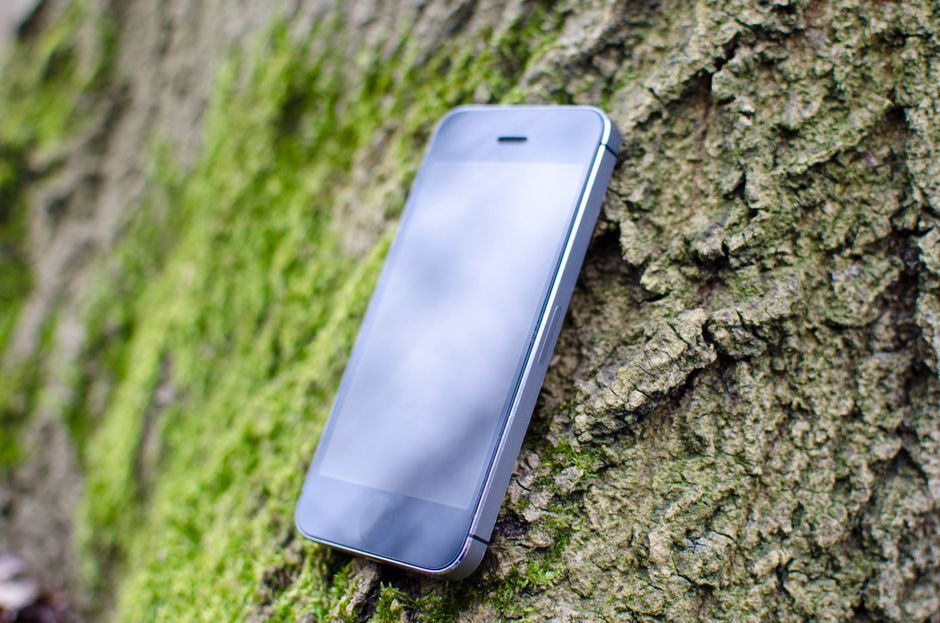 Primer plano de un smartphone apoyado contra la corteza de un árbol cubierto de musgo al aire libre.