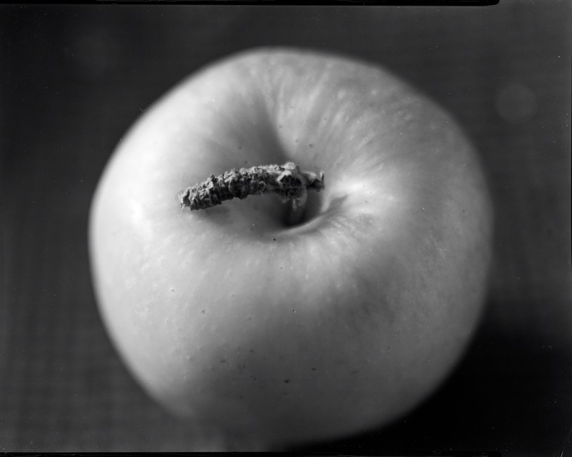 Foto en blanco y negro en primer plano de una manzana fresca resaltando textura y detalle.