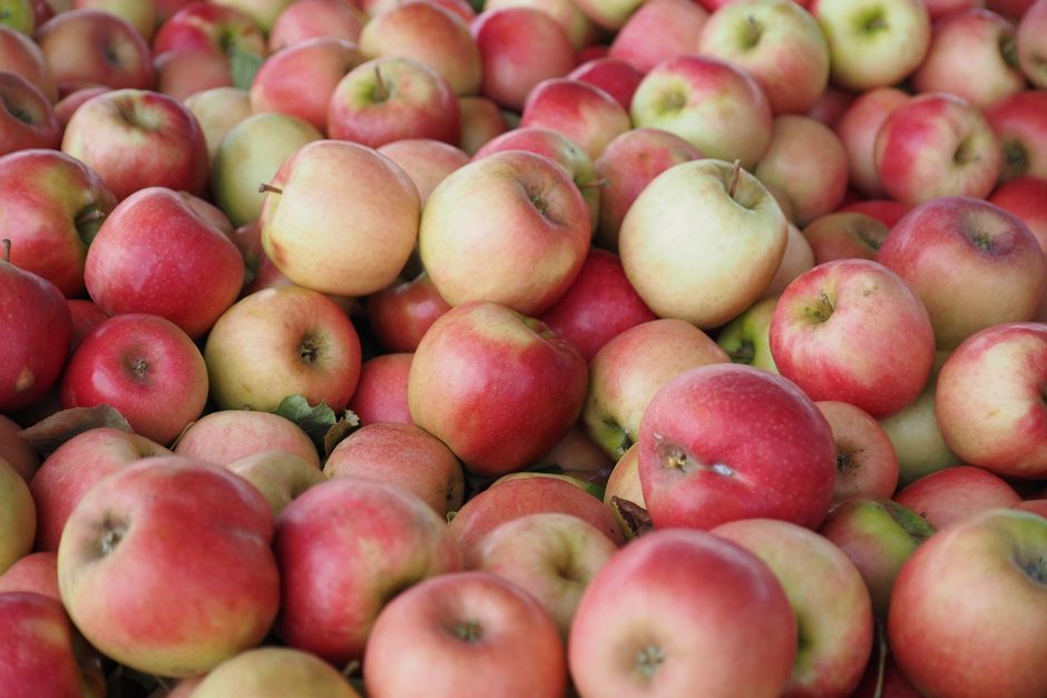 Una vista en primer plano de manzanas rojas y verdes frescas apiladas en un mercado en Solebury, Pennsylvania.