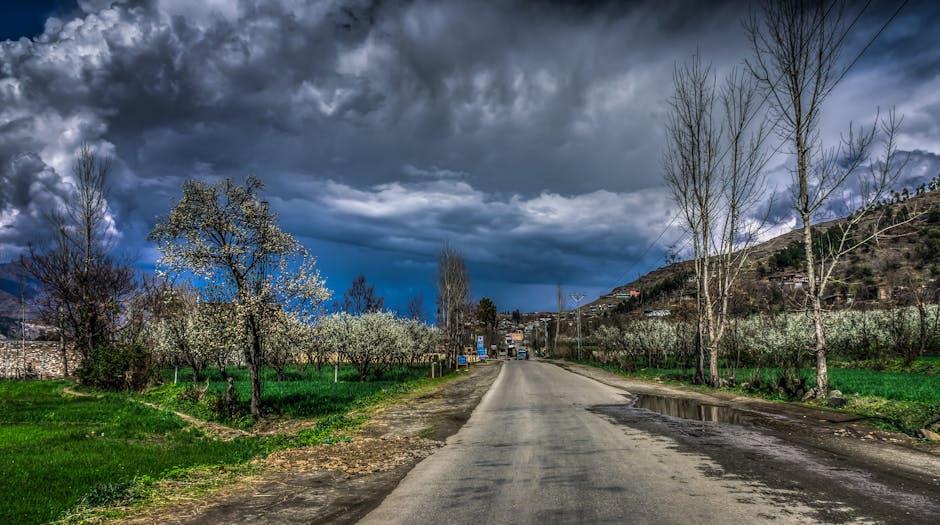 Carretera De Hormigón Vacía Rodeada De árboles Y Césped Bajo Un Cielo Azul Con Nubes Pesadas