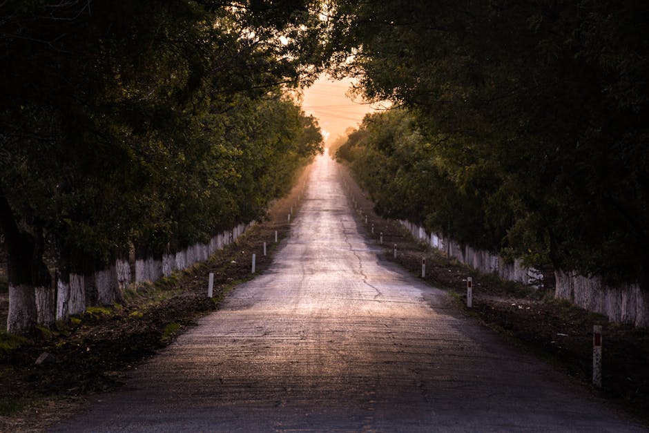Fotos de stock gratuitas de aislamiento, al aire libre, anochecer