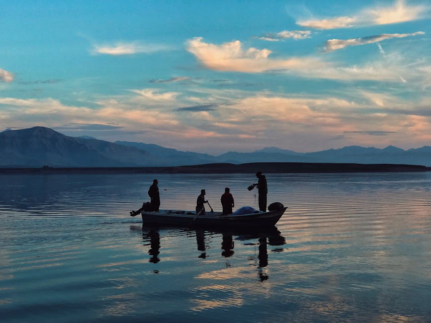 Fotos de stock gratuitas de actividad al aire libre, agua, al aire libre