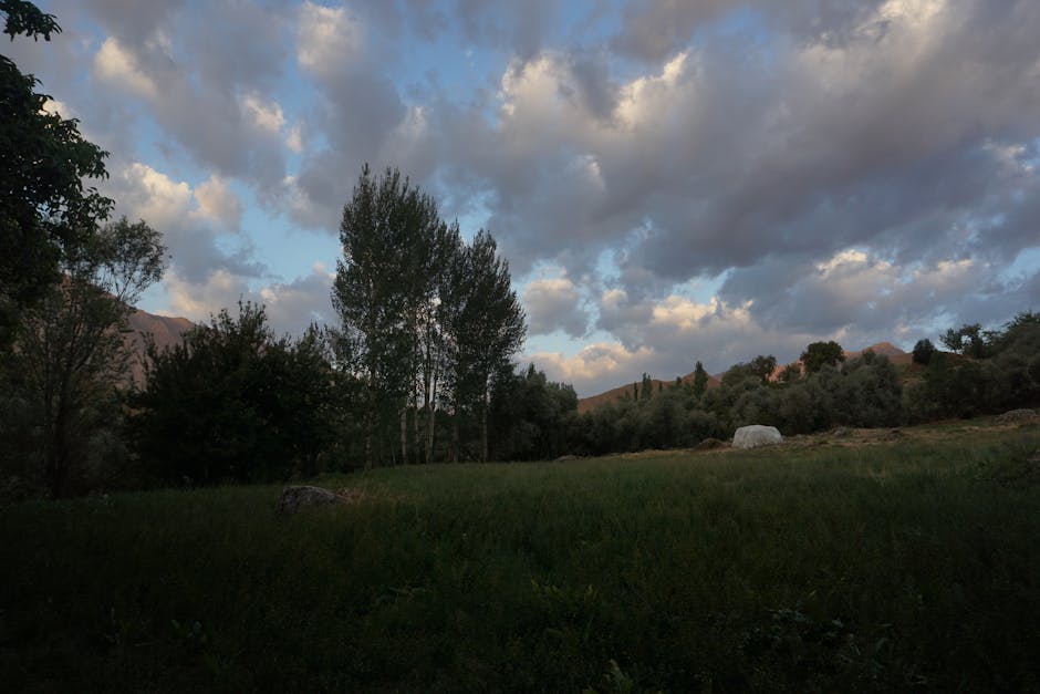 Fotos de stock gratuitas de aislado, al aire libre, ambiente