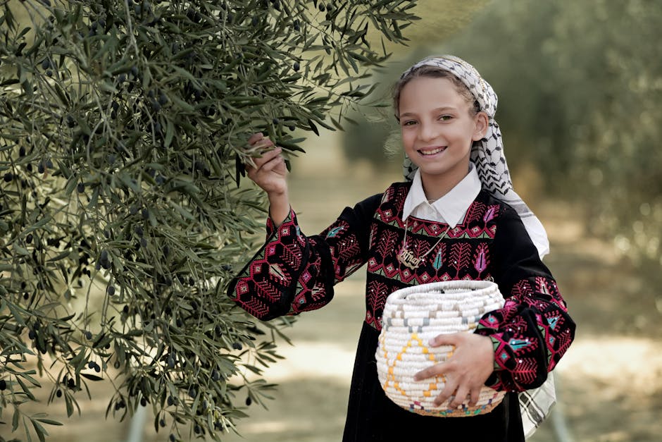 Niña con traje tradicional palestino recogiendo aceitunas en un huerto. Sonriendo con una cesta.