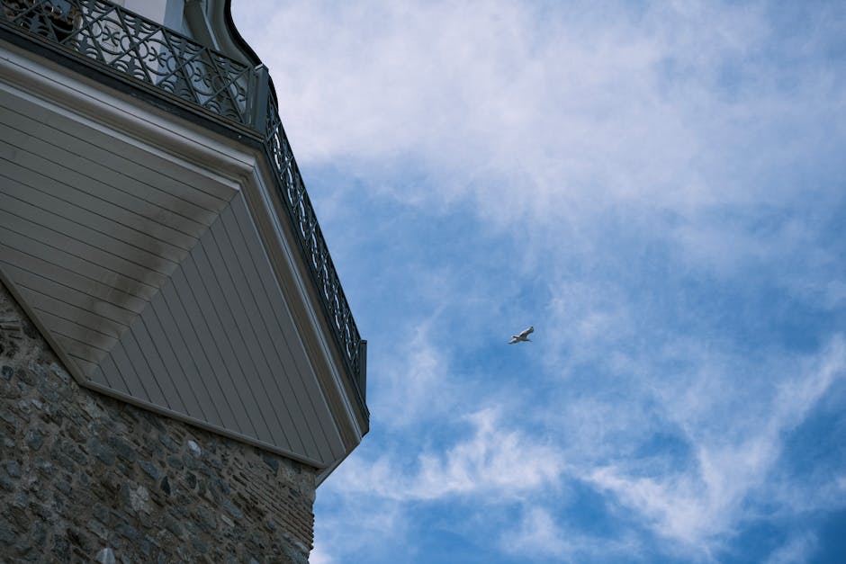 Fotos de stock gratuitas de al aire libre, ala, altísimo