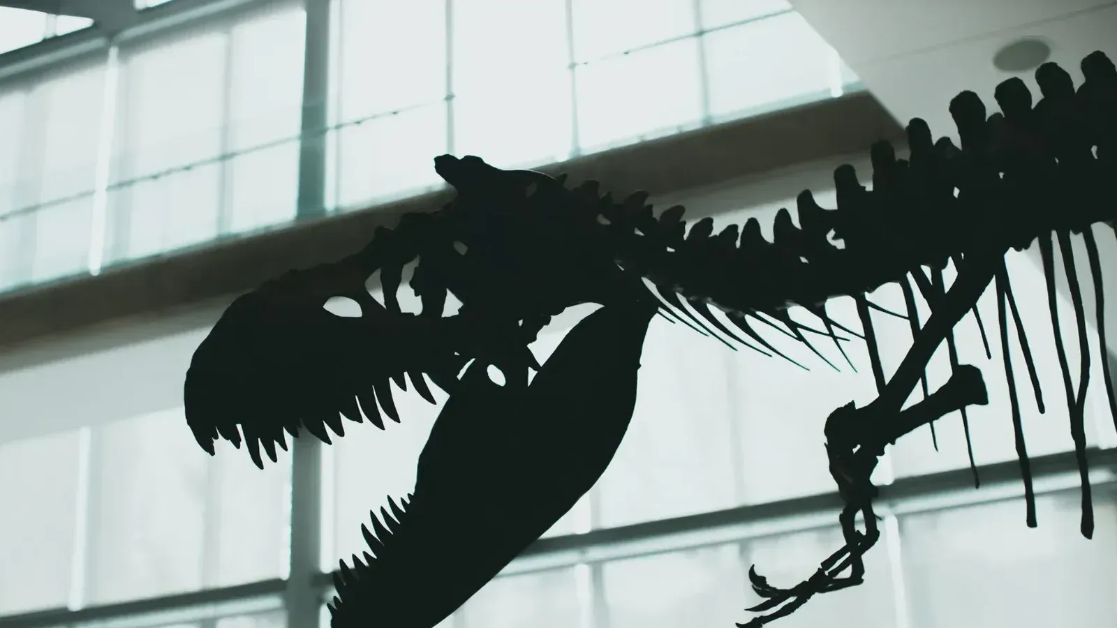 Kayrasaurus tenía más de 45 dientes diminutos
