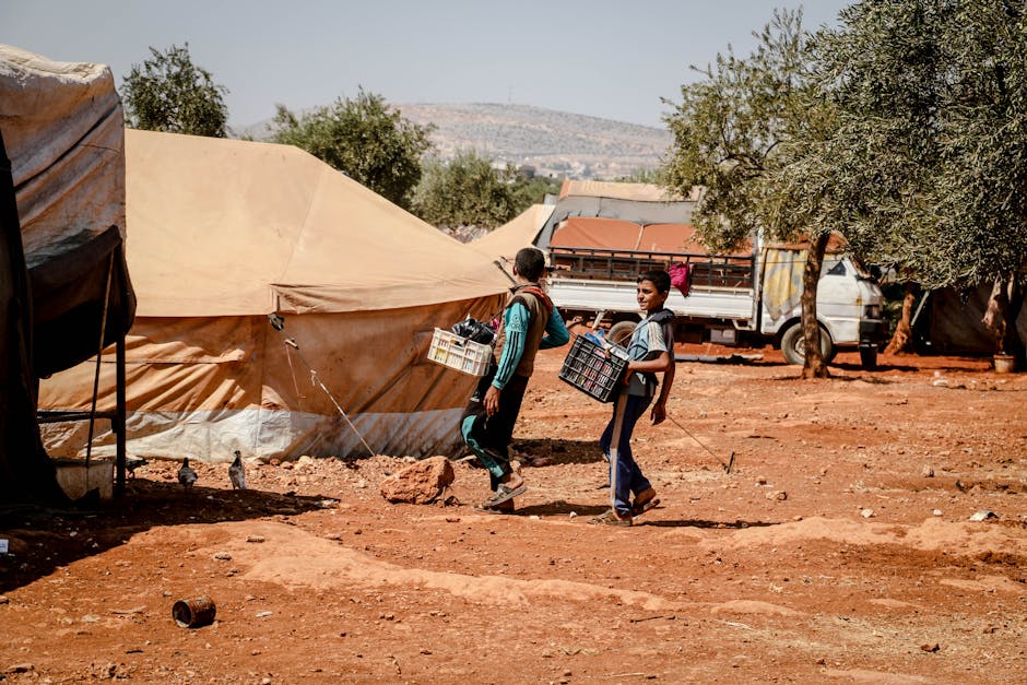 Fotos de stock gratuitas de adversidad, al aire libre, apoyar