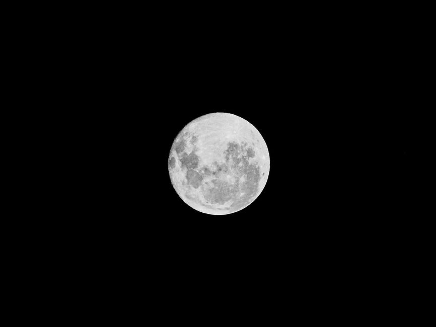 Fotografía detallada de una luna llena contra un cielo negro nocturno, mostrando vívidamente las características de la superficie.