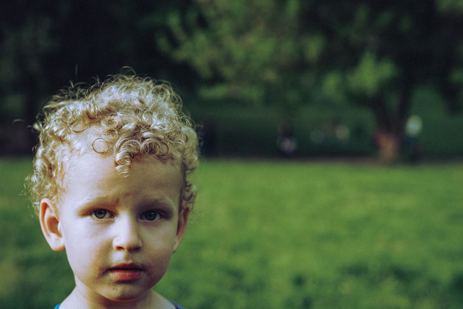 Fotos de stock gratuitas de adorable, al aire libre, arboles