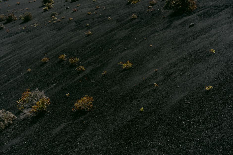 Una ladera volcánica desierta con vegetación dispersa en un entorno árido.