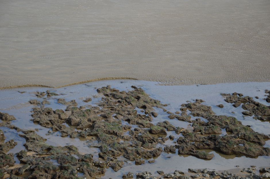 Una serena costa rocosa en marea baja con intrincados patrones de arena y agua poco profunda.
