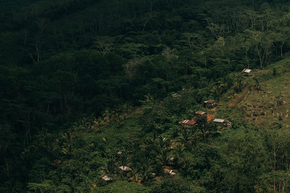 Paisaje De Bosque Exuberante Con Viviendas Rurales En Filipinas