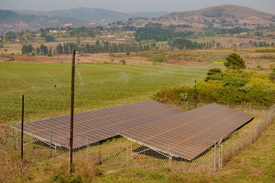 Paneles solares en una granja en Manzini, Eswatini, que muestran la energía sostenible.