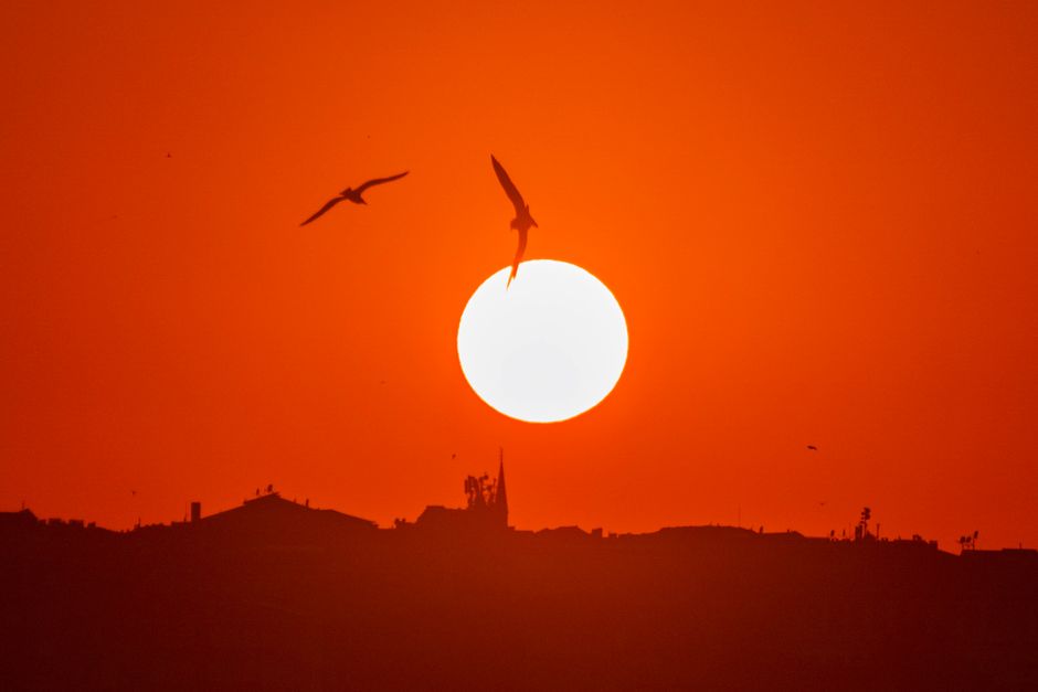 Espectacular puesta de sol sobre Estambul con gaviotas volando y un cielo naranja vibrante.