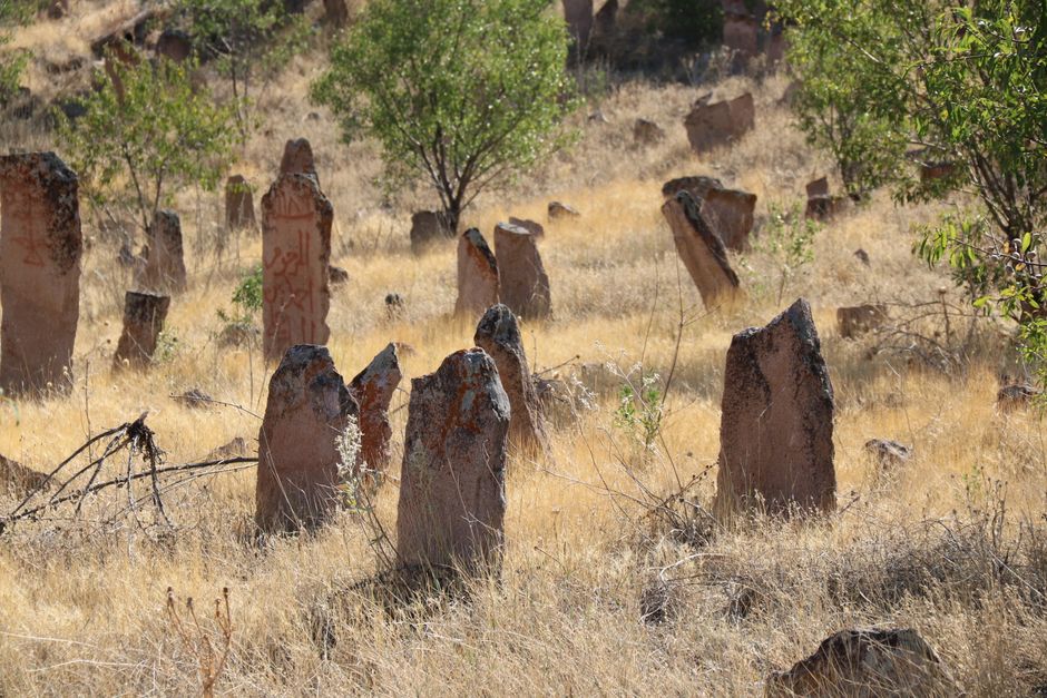Antiguo cementerio con lápidas de piedra erosionadas rodeadas de hierba seca.