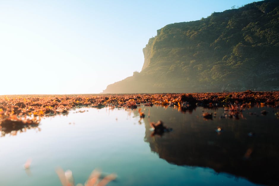 Fotos de stock gratuitas de @al aire libre, acantilado, alba
