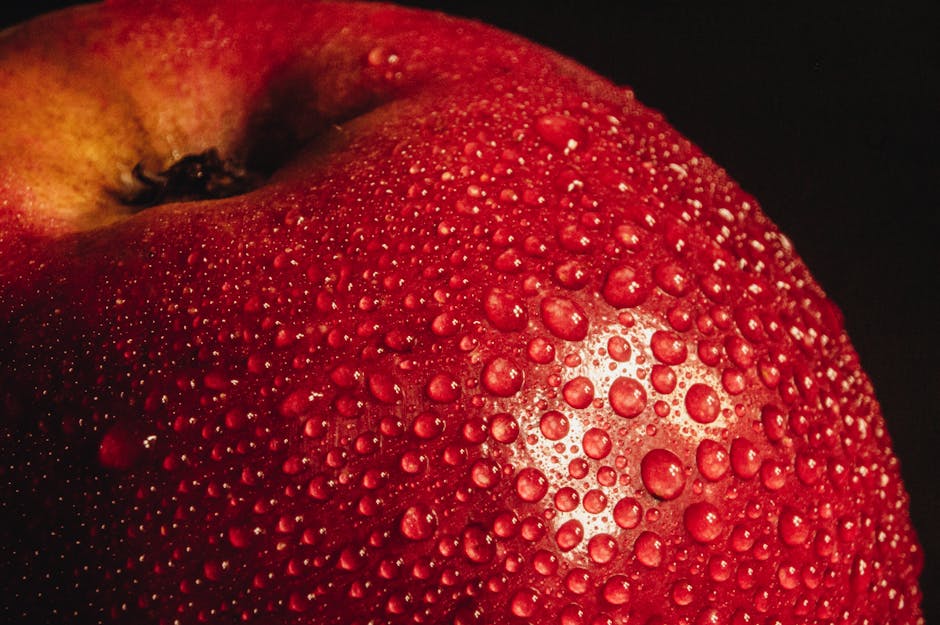 Fotos de stock gratuitas de agricultura, agua, aperitivo
