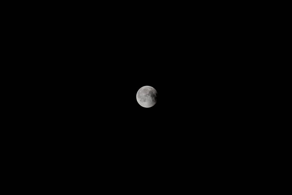 Una impresionante luna llena capturada contra un oscuro cielo nocturno y sin estrellas.