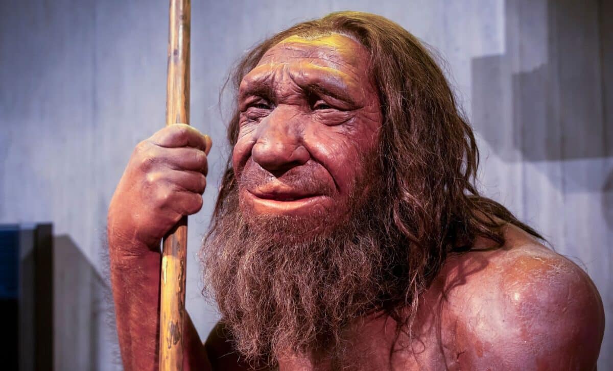 Últimos neandertales descienden de un único grupo
