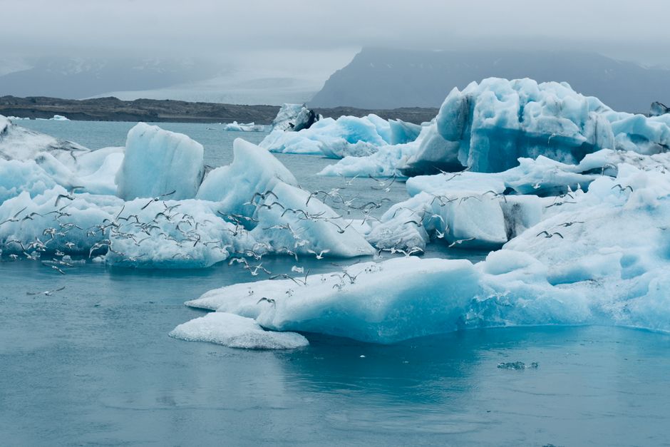 Majestuosos icebergs flotan en Jokulsarlon, Islandia, con gaviotas sobrevolando en una tranquila escena ártica.