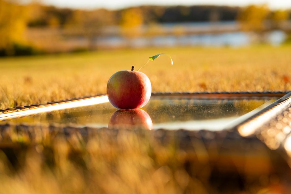Manzana roja brillante reflejando en un espejo en un campo de otoño, mostrando la belleza de la naturaleza.