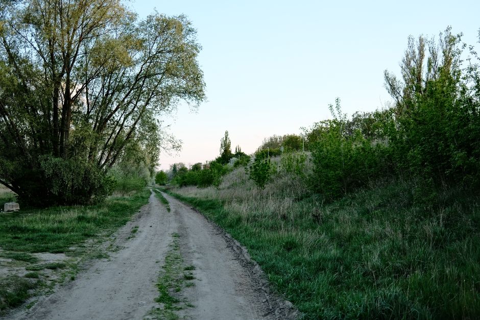 Un tranquillo camino de tierra serpenteando por un campo pacífico con un follaje verde y un cielo azul claro.