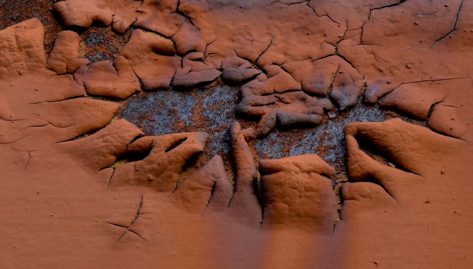 Primer plano de textura de tierra agrietada y erosionada, mostrando patrones y colores naturales.