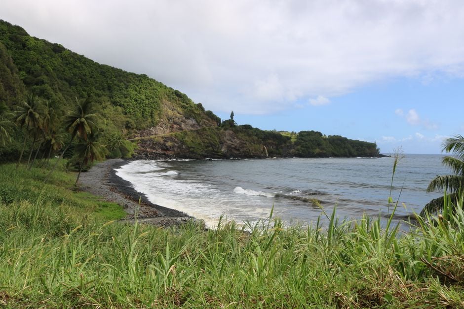 Preciosa playa en Hawái con exuberante vegetación y olas rompiendo contra la costa, perfecta para inspirarse en los viajes.