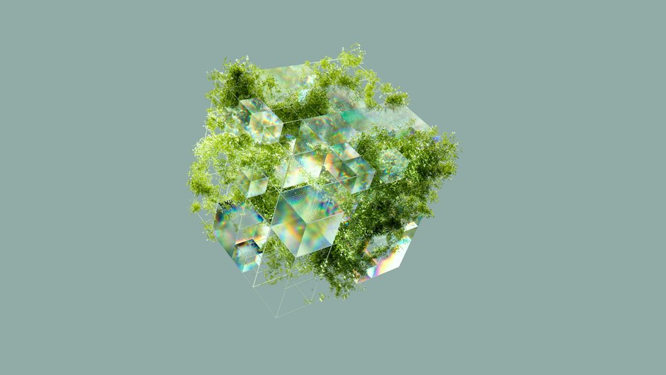 Un cubo digital abstracto entrelazado con exuberante vegetación, simbolizando sostenibilidad y tecnología.