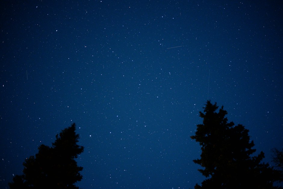 Un cielo nocturno claro lleno de estrellas sobre las siluetas de pinos.