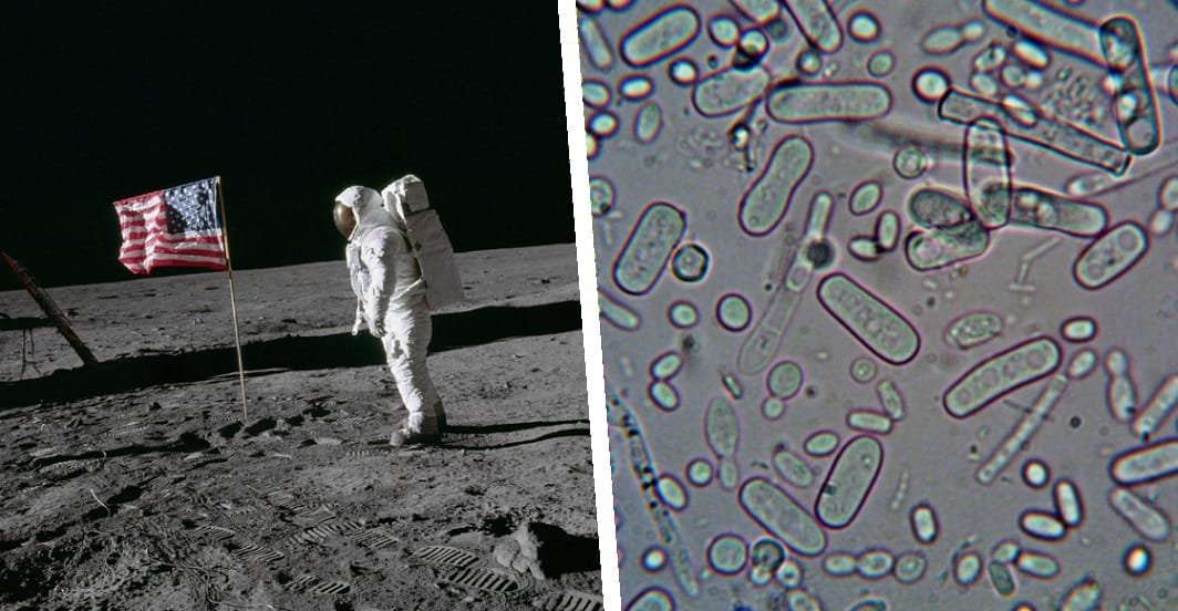 Microbios en la Luna: la preocupación de la NASA