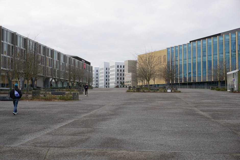 Fotos de stock gratuitas de @al aire libre, acera, arboles