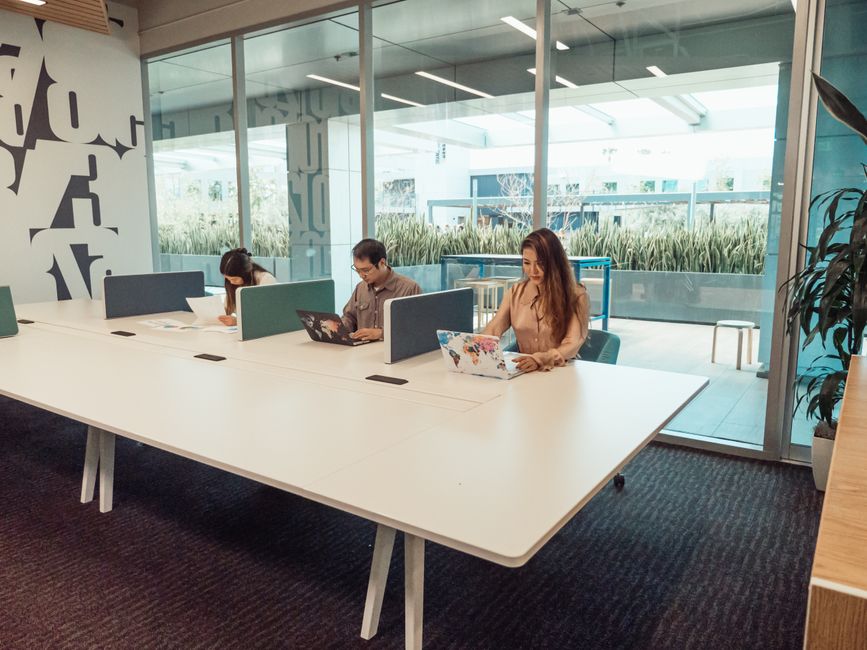 Fotos de stock gratuitas de adentro, adultos, ambiente de trabajo