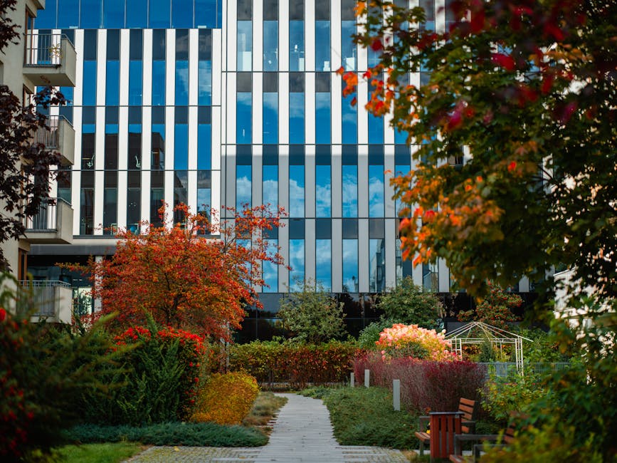 Fotos de stock gratuitas de @al aire libre, ambiente de la ciudad, arboles