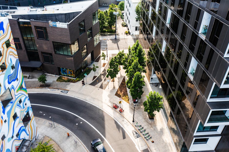 Fotos de stock gratuitas de acera, ambiente urbano, arboles