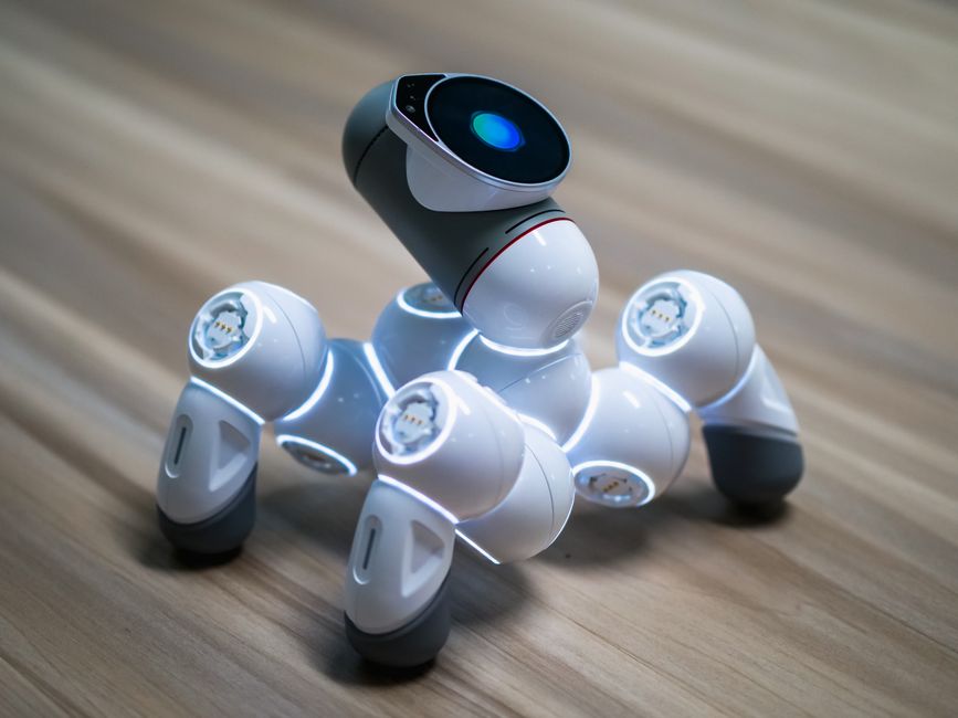 Primer plano de un perro robótico avanzado que demuestra tecnología moderna.