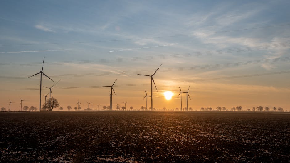 Fotos de stock gratuitas de agricultura, al aire libre, amanecer