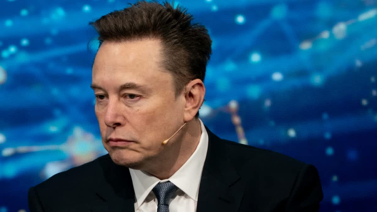 Musk: Grok Imagine sí es rentable tras el fracaso de Sora