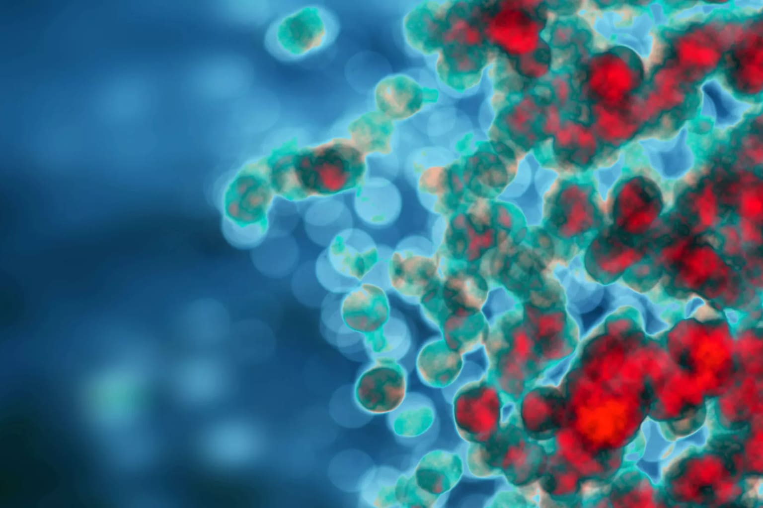 Nanopartícula elimina tumores sólidos en ratones en 30 días