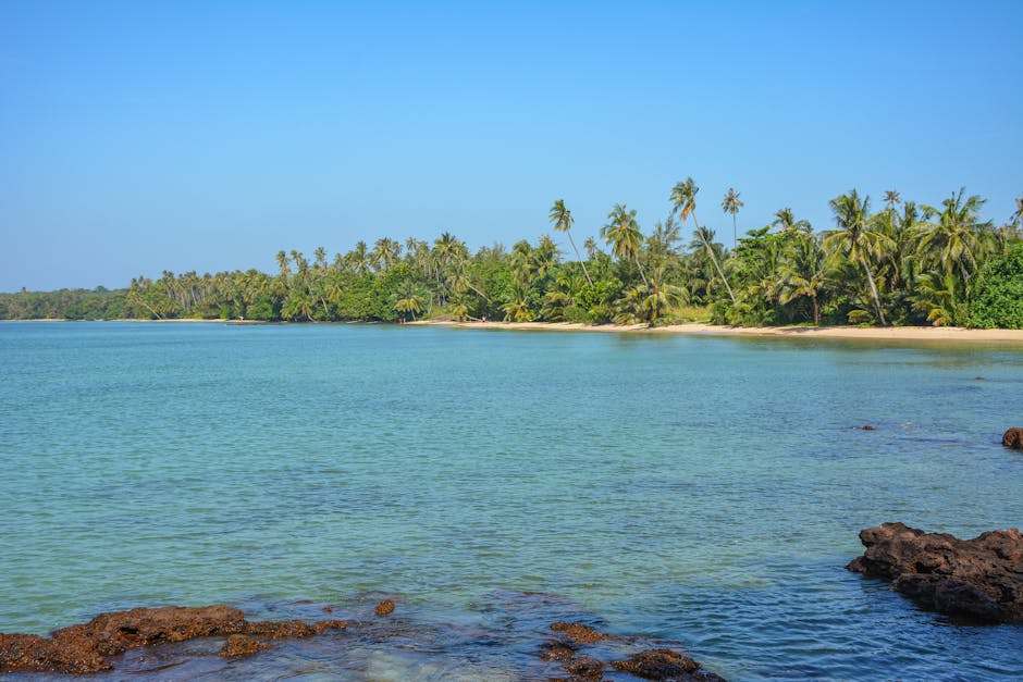 Fotos de stock gratuitas de @al aire libre, agua clara, arena