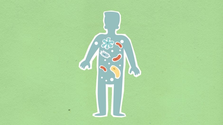 Ilustración colorida que representa el microbioma humano con bacterias simbólicas dentro de una silueta sobre un fondo verde.