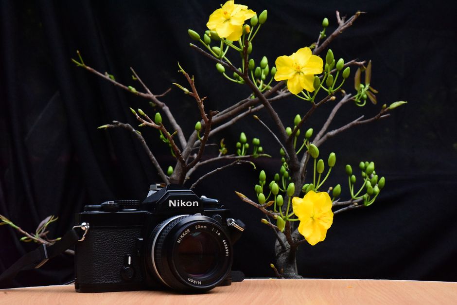 Primer plano de una cámara Nikon vintage colocada junto a flores amarillas, que simbolizan la fotografía clásica y la naturaleza.