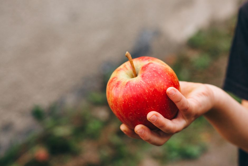 Fotos de stock gratuitas de al aire libre, apple, biodinamica