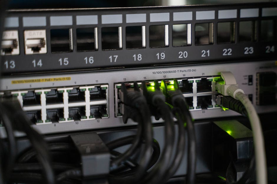Fotos de stock gratuitas de 10 100 1000base-t, arquitectura de red, backend