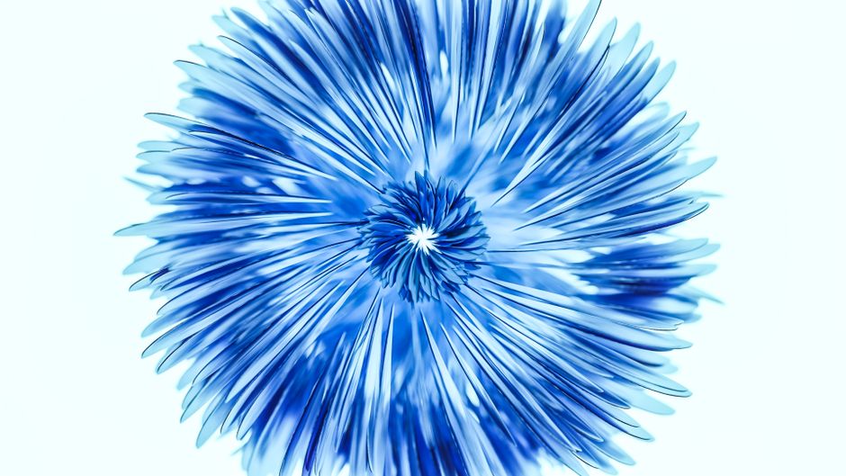 Acercamiento de una vibrante flor azul que captura los intrincados detalles de los pétalos.