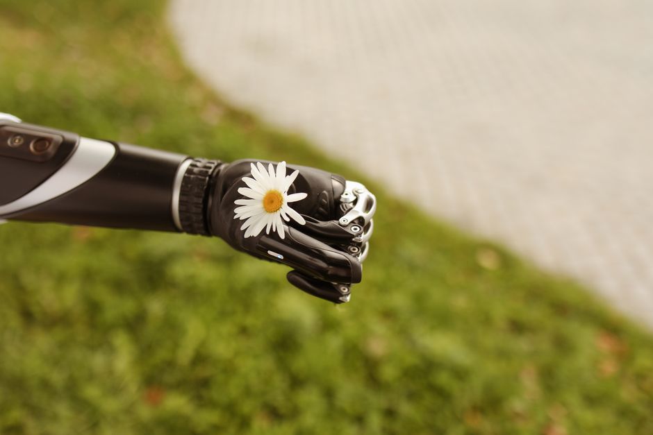 Acercamiento de una mano prostética sosteniendo suavemente una margarita, simbolizando tecnología y naturaleza.