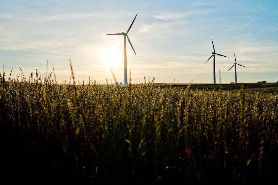 Fotos de stock gratuitas de agricultura, al aire libre, amigable con el medio ambiente